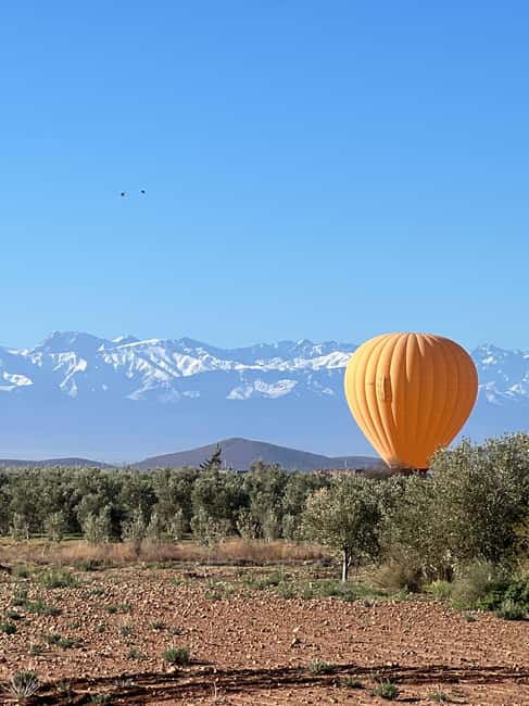 imagen n.º 29 de Marrakech: Vuelo en Globo, Desayuno Bereber y Paseo en Camello actividad en Marrakech, subida por el proveedor