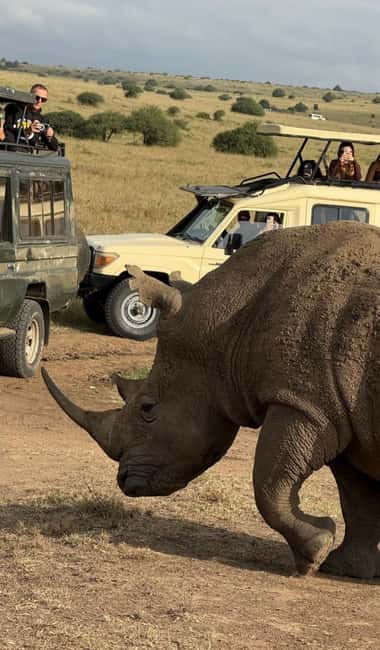image n.17 of Nairobi : Nairobi National Park: 5- hours Guided Game Drive activity in Nairobi, uploaded by supplier