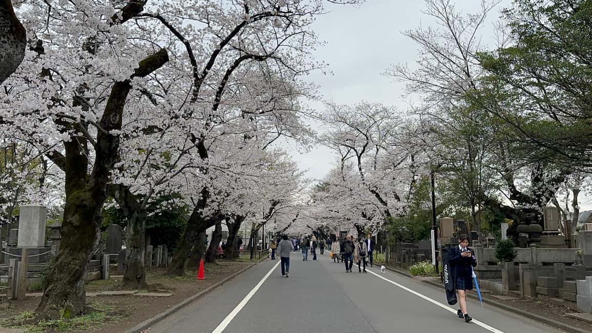 image n.14 of Tokyo : Stroll in the Old traditional town~Yanaka & Nezu activity in Tokyo, uploaded by supplier