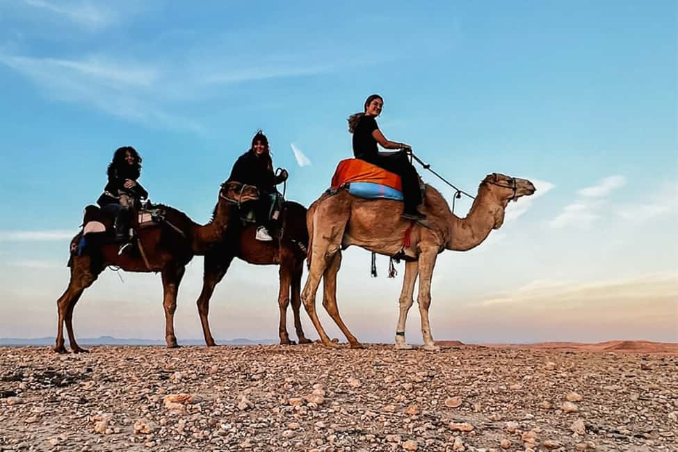 Immagine nº 11 di Fuga nel deserto di Agafay: Cena al tramonto e giro in quad/cammello attività a Marrakech, caricata dal fornitore