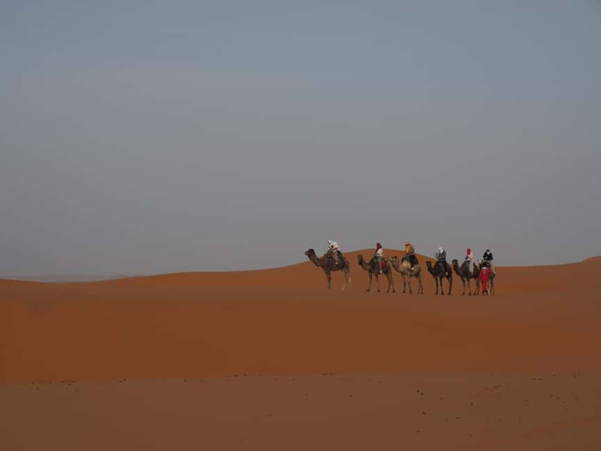 Image N°41 de Marrakech à Fès, circuit de 3 jours dans le désert à dos de chameau et en tente de luxe activité à Marrakech-Safi, publiée par le prestataire