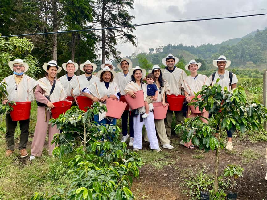 image n.24 of Medellín Coffee Farm Tour with Trolley and Cable Car Ride activity in Medellin, uploaded by supplier