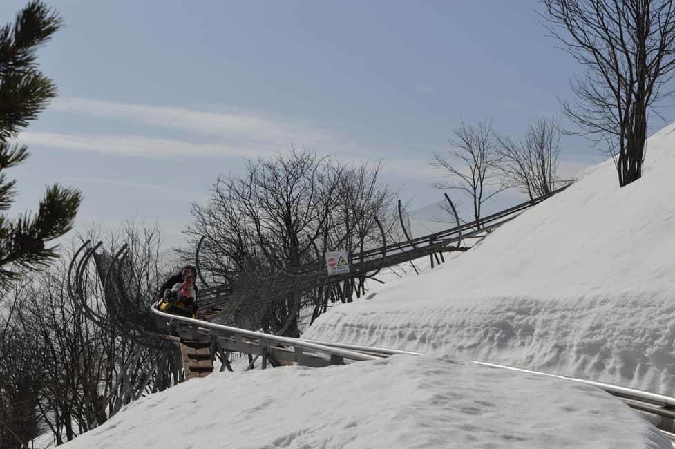 billede nr.11 af aktiviteten Stresa: Alpyland Alpine Coaster Ride på Mount Mottarone i Mottarone, uploadet af udbyder