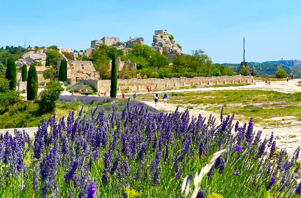 imagem n.4 de De Avignon: Arles, Les Baux-de-Provence e Saint-Rémy Tour atividade em Arles, carregada pelo fornecedor