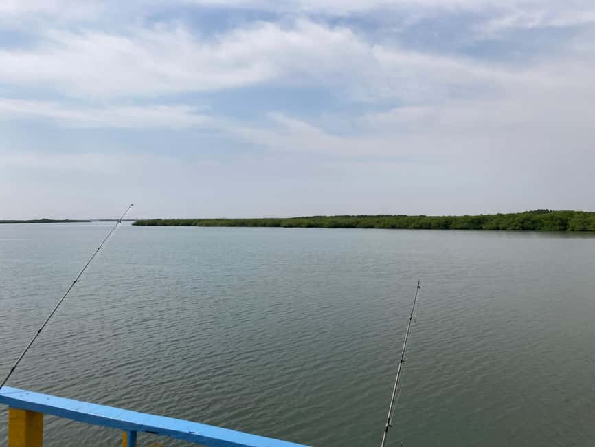 image n.13 of River Gambia & Lazy Day Cruise activity in West Coast Region, Gambia, uploaded by supplier