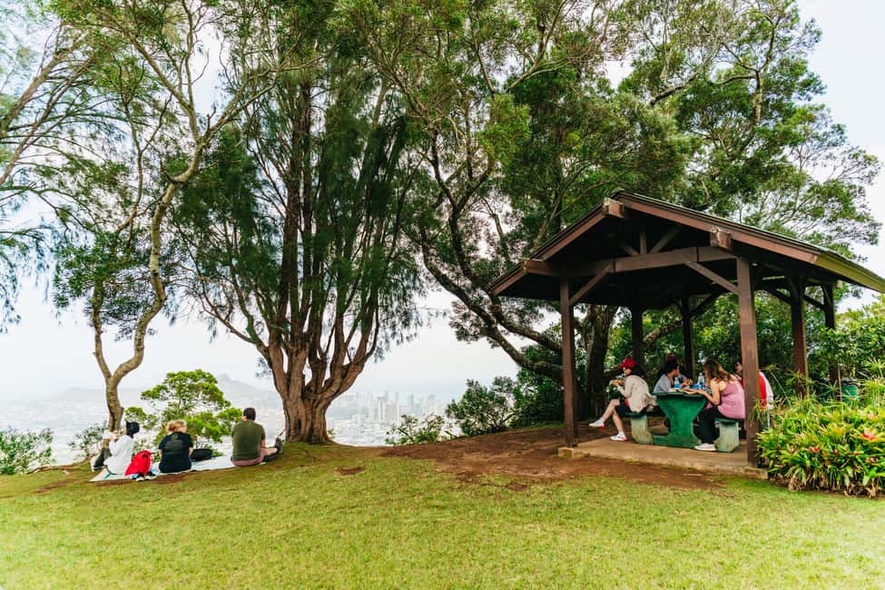 Immagine nº 13 di Oahu: Escursione alla cascata Manoa Falls con pranzo e trasferimenti attività a Honolulu, caricata dal fornitore