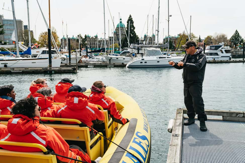 imagem n.4 de Victoria: Aventura de 3 horas de observação de baleias num barco Zodiac atividade em Victoria, Colúmbia Britânica, carregada pelo fornecedor