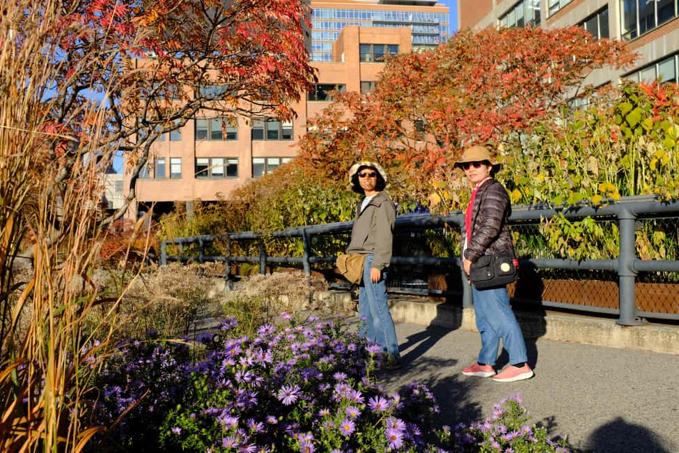 image n.17 of NYC: Chelsea & High Line Tour with Optional Edge Entry activity in New York City, uploaded by supplier