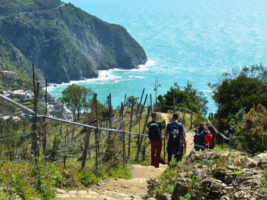 image n.8 of Cinque Terre: Eco Hiking and Wine Tasting activity in Corniglia, uploaded by supplier