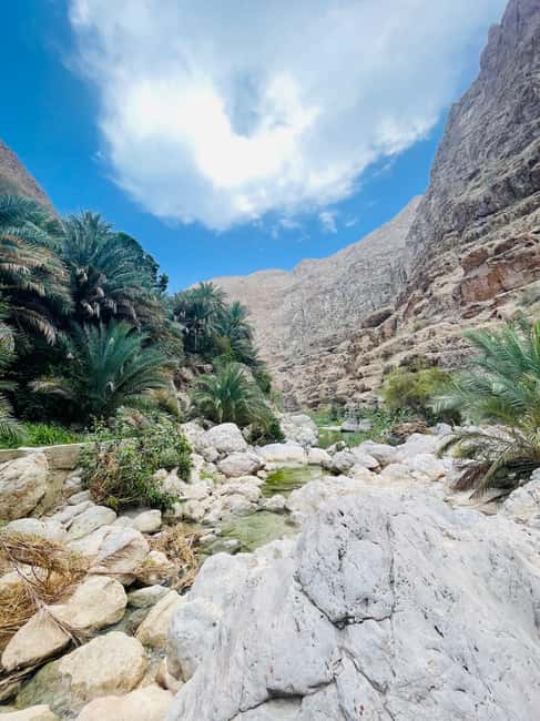 Immagine nº 23 di Muscat: escursione di un'intera giornata a Wadi Shab, grotta romantica e sinkhole attività a Regione al-Sharqiyya, caricata dal fornitore