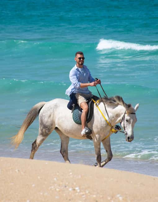 imagem n.10 de Melides: Passeios a cavalo na praia de Melides atividade em Melides, carregada pelo fornecedor