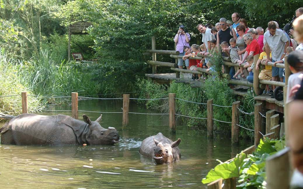 billede nr.6 af aktiviteten Rotterdam: Rotterdam Zoo Blijdorp entrébillet i Rotterdam, uploadet af udbyder