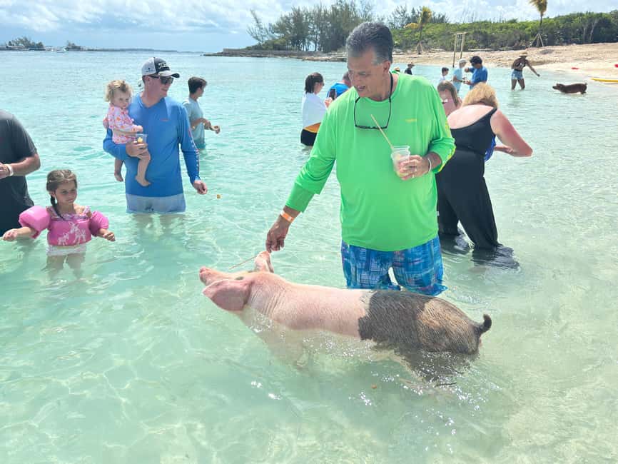 image n.4 of Nassau: 4-Island Tour Swimming Pigs, turtles, snorkeling activity in New Providence, uploaded by supplier