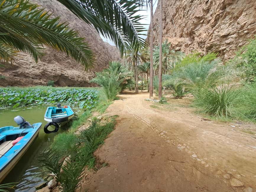Immagine nº 17 di Da Muscat: Tour guidato di una notte nel campo del deserto attività a Regione al-Sharqiyya, caricata dal fornitore