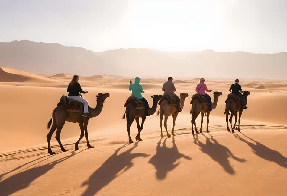 image n.5 of Sharm El-Sheikh: Ultimate ATV Quad, Stargazing & BBQ Dinner activity in Sharm el-Sheikh, uploaded by supplier