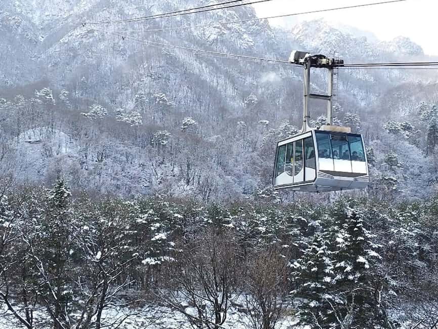 imagen n.º 1 de Seúl: Excursión Montaña Seorak+Isla Nami+Valle del Hielo de Eobi actividad en Chuncheon, subida por el proveedor