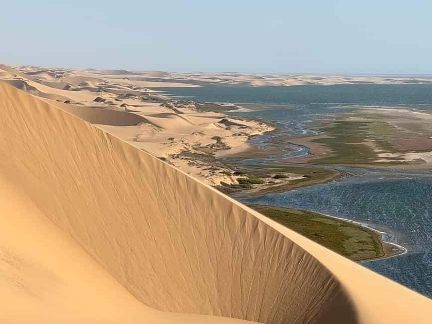 image n.13 of Walvisbay: Sandwich Harbour 4x4 Tour-Unparalleled Experience activity in Erongo, uploaded by supplier