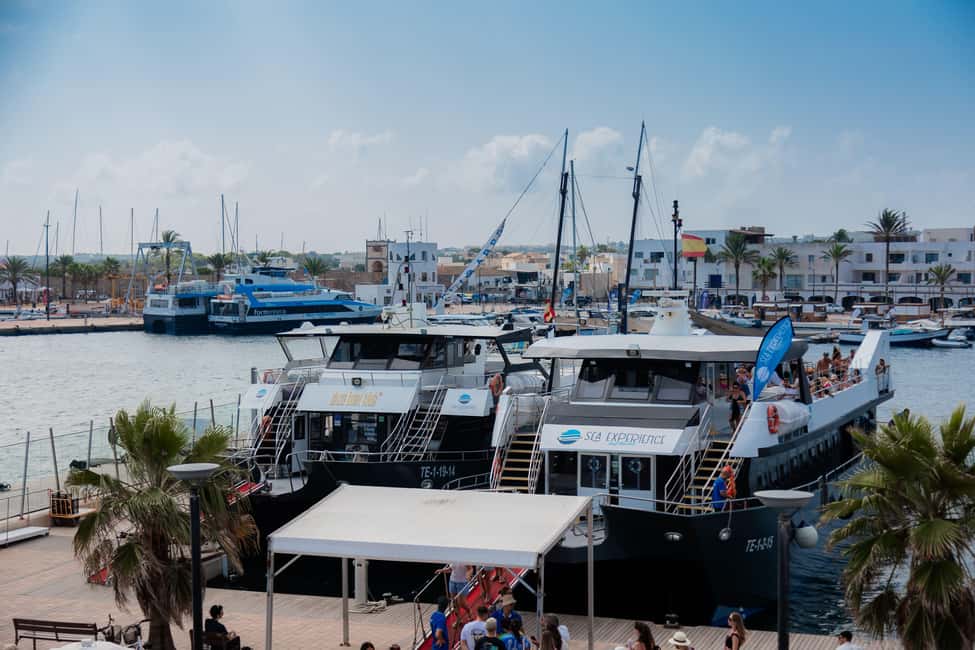 Image N°12 de Ibiza : Transfert aller-retour de Figueretas à Formentera activité à Ibiza (ville), publiée par le prestataire