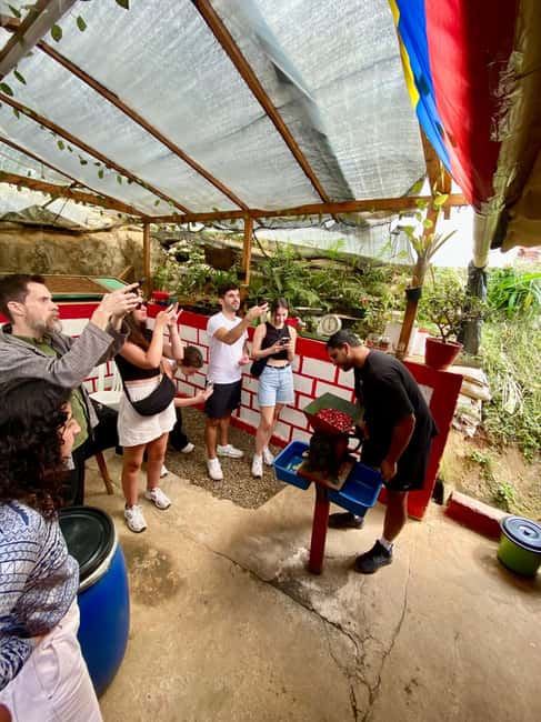 image n.22 of Medellín Coffee Farm Tour with Trolley and Cable Car Ride activity in Medellin, uploaded by supplier