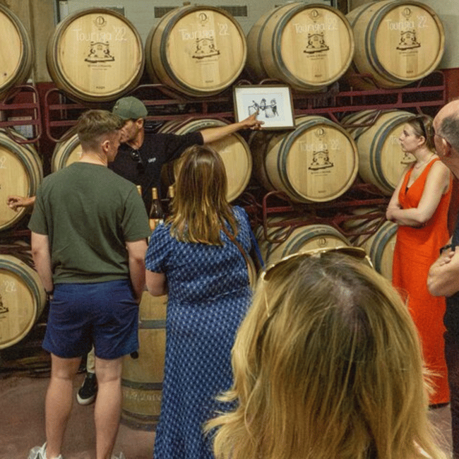 image n.9 of From Albufeira: Full-Day Wine Tasting Tour with a Guide activity in Monchique, uploaded by supplier