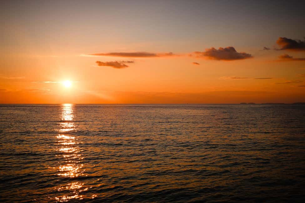 Bild Nr. 3 von Fazana: Delphin/Sonnenuntergang Tour Aktivität in Pula, Kroatien, hochgeladen vom Anbieter
