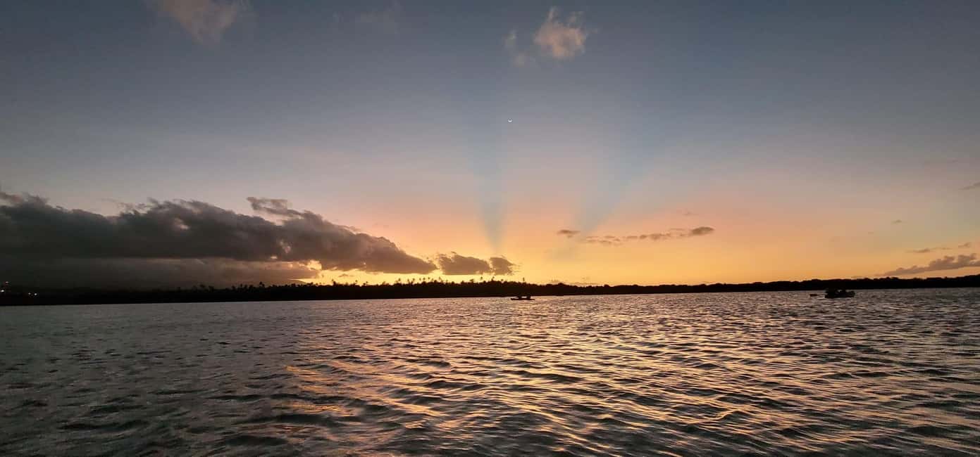 Obraz nr 10 z atrakcji San Juan: Bioluminescencyjny nocny spływ kajakowy po zatoce Laguna Grande w San Juan, przesłany przez organizatora