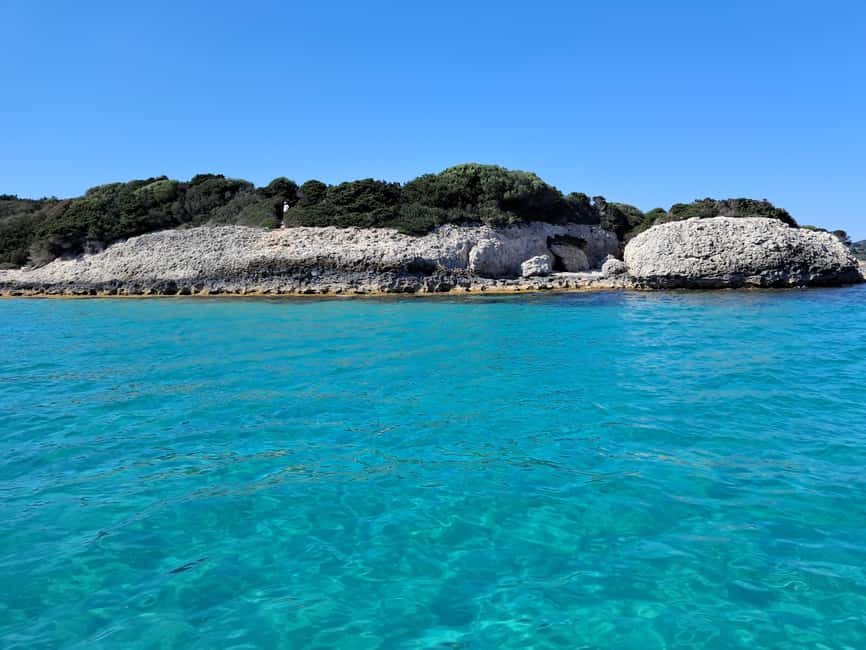 Bild Nr. 7 von Porto-Vecchio : Entdecke die Natur auf den Lavezzi-Inseln Aktivität in Porto-Vecchio, hochgeladen vom Anbieter