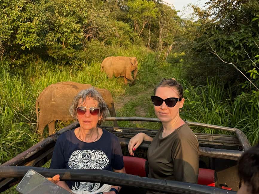 image n.35 of From Colombo: Sigiriya and Dambulla Day Trip and Safari activity in Sigiriya, uploaded by supplier