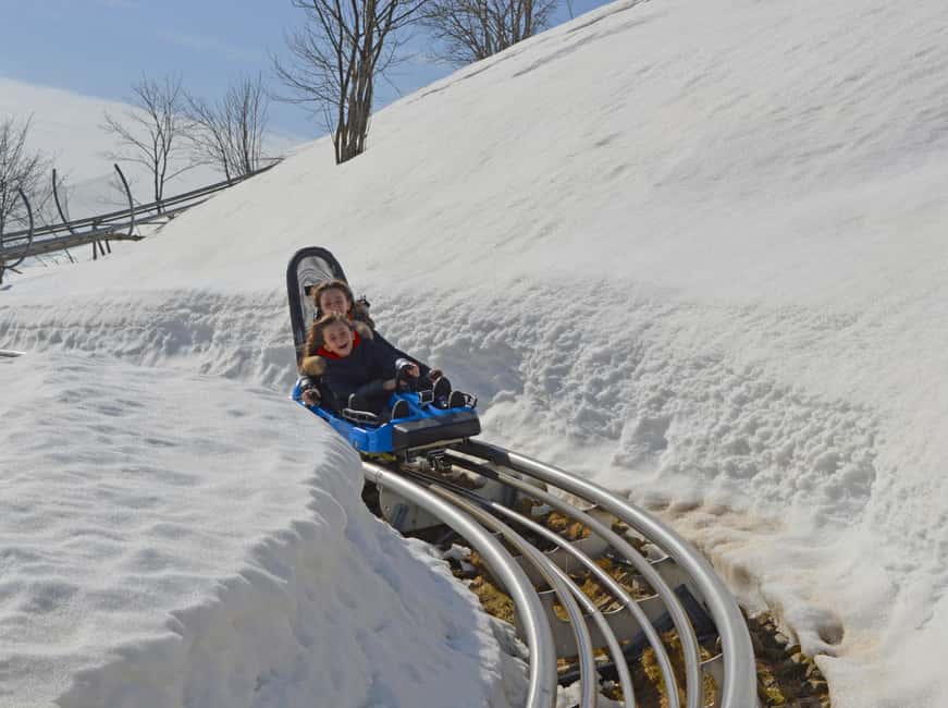 billede nr.2 af aktiviteten Stresa: Alpyland Alpine Coaster Ride på Mount Mottarone i Mottarone, uploadet af udbyder