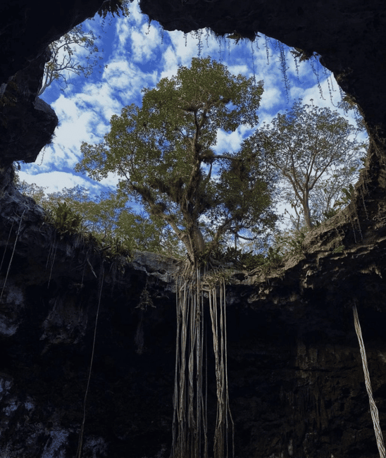 image n.6 of From Merida: 3 Cenotes and Acanceh zone with Lunch & Bikes activity in Homun, uploaded by supplier