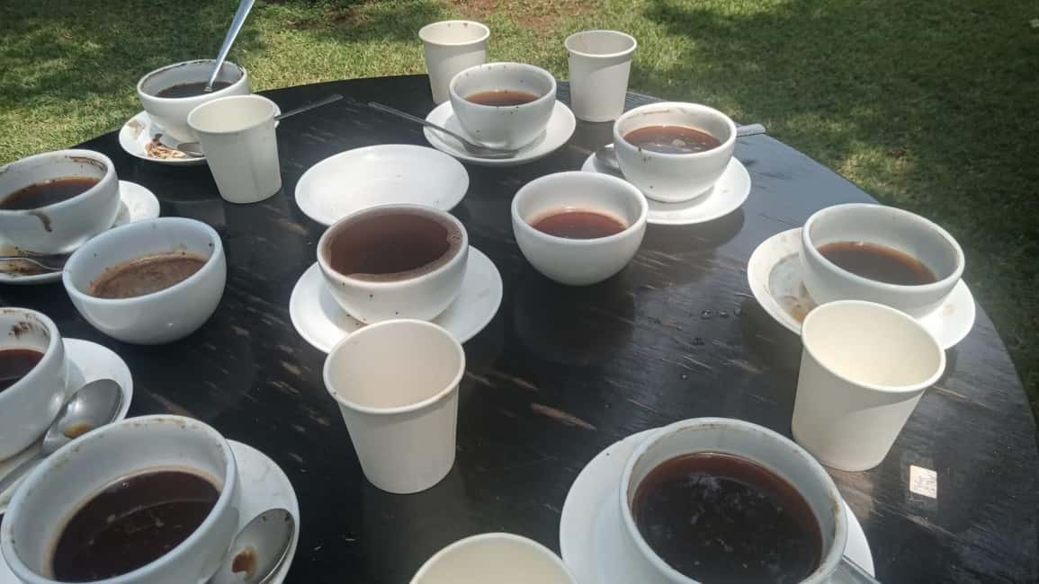 image n.69 of Coffee Farm Tour (Fairview) activity in Kiambu, uploaded by supplier