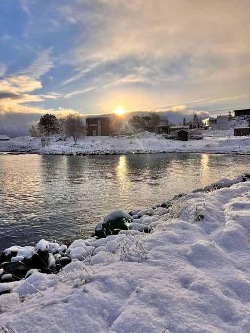 image n.8 of Narvik/Harstad:Day tour of Fjords with stop at Reindeer farm activity in Narvik, uploaded by supplier