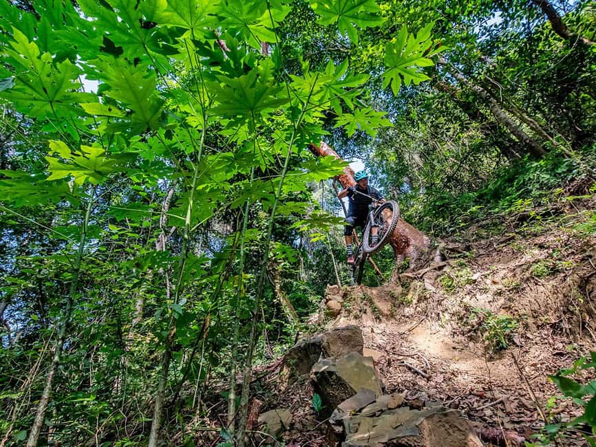 image n.11 of Sayulita: Jungle Mountain Biking activity in Sayulita, uploaded by supplier