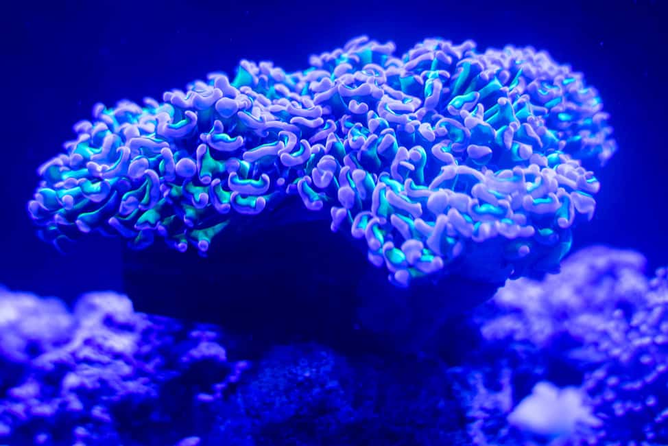 image n.7 of Benalmadena Aquarium Visit activity in Benalmadena, uploaded by supplier