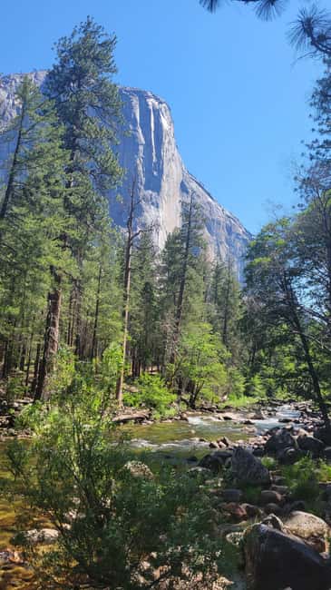 bild nr.3 av Los Angeles: Yosemite och Sequoia National Parks 2-dagarsutflykt aktivitet i Kalifornien, uppladdad av arrangören