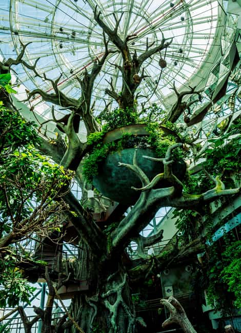 image n.9 of The Green Planet - Dubai's Unique Indoor Rainforest activity in Dubai, uploaded by supplier