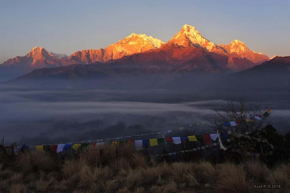image n.24 of Scenic Adventure: 2-Day Private POON HILL Trek from Pokhara activity in Pashchimanchal, Western Region, uploaded by supplier