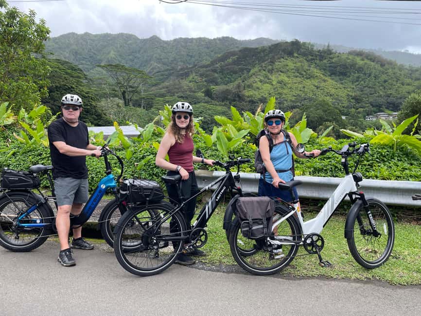 Immagine nº 40 di Oahu: Giro in bici elettrica a Waikiki ed escursione alle cascate di Manoa attività a Honolulu, caricata dal fornitore