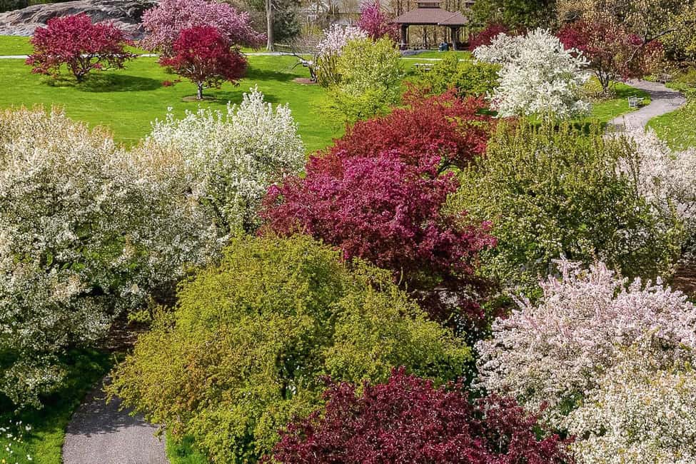 image n.20 of NYC: New York Botanical Garden Pass activity in New York City, uploaded by supplier
