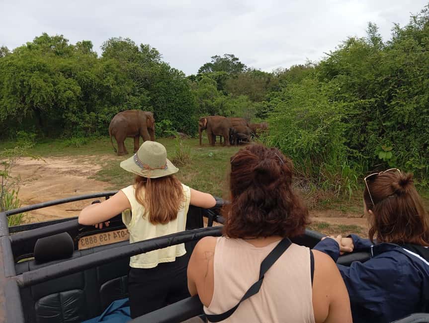 image n.2 of From Dambulla/Sigiriya/: Minneriya National Park 4hr safari activity in Anuradhapura, uploaded by supplier