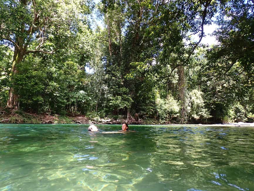 image n.1 of Cairns: Explorer Tour- Cairns Waterfalls activity in Cairns, uploaded by supplier