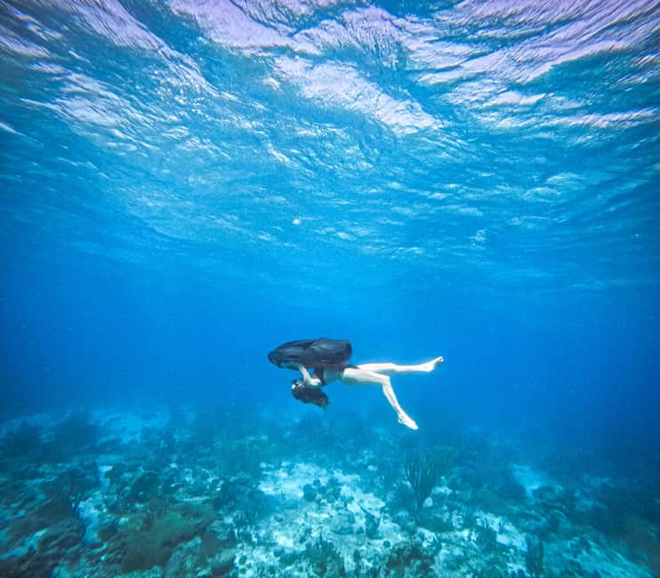 afbeelding n.20 van Curaçao: Playa Piskado Seabob Avontuur (Zeeschildpadden) activiteit in Curaçao, geüpload door aanbieder