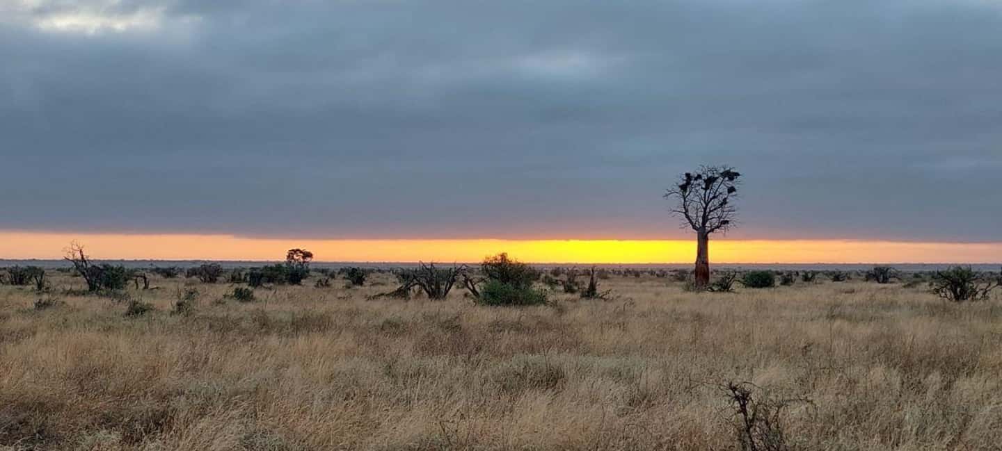 image n.8 of Tsavo East and Tsavo West Sanctuary Safari activity in Coast Province, uploaded by supplier
