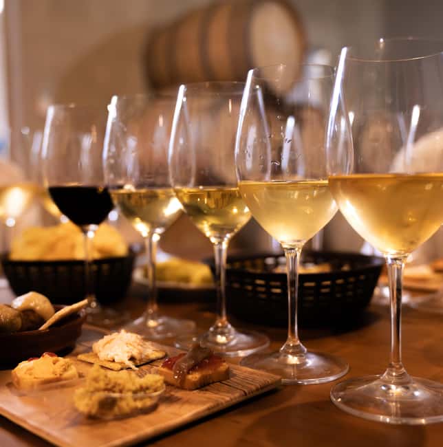 imagen n.º 15 de Málaga: Visita a viñedos y bodegas con 6 vinos de primera y tapas actividad en Málaga, subida por el proveedor