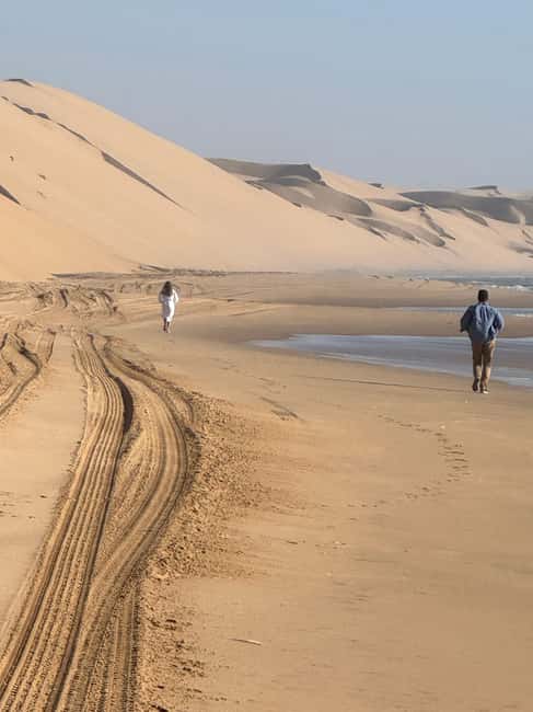 image n.99 of Walvisbay: Sandwich Harbour 4x4 Tour-Unparalleled Experience activity in Erongo, uploaded by supplier