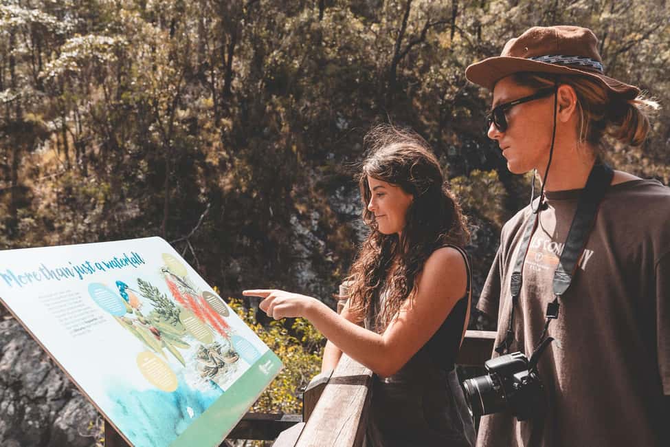 image n.6 of Brisbane: Rainforests, Waterfalls and Glow Worm Cave Tour activity in Gold Coast, uploaded by supplier