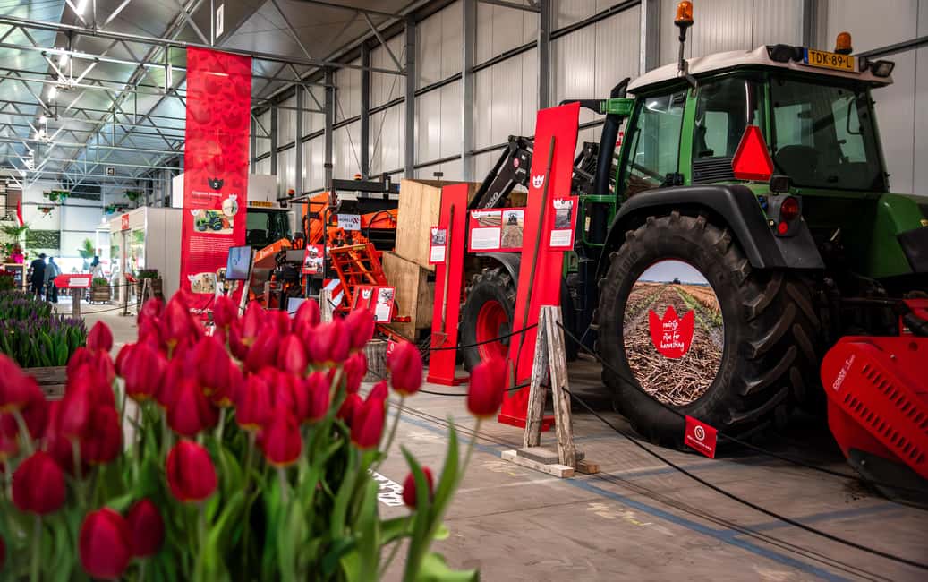 Obraz nr 19 z atrakcji Z Amsterdamu: Keukenhof Gardens & Tulip Experience Tour w Noordwijkerhout, przesłany przez organizatora