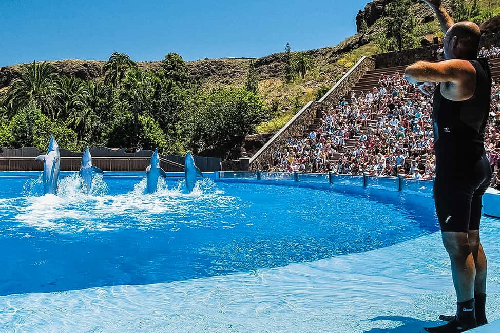imagen n.º 7 de Maspalomas: Ticket de entrada a Palmitos Park con Espectáculos de Delfines y Aves actividad en Maspalomas, subida por el proveedor