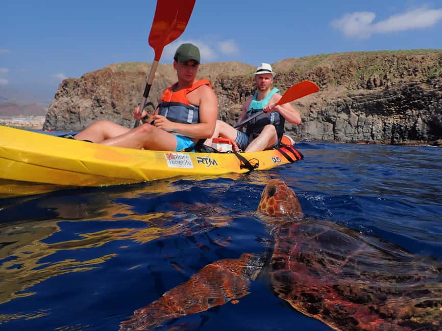 image n.2 of Tenerife: Kayak and Snorkel with Turtles with Free Videos activity in Los Cristianos, uploaded by supplier