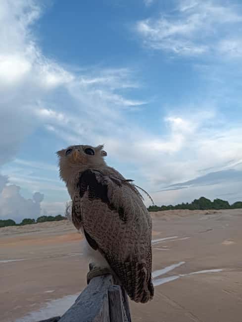 image n.13 of Bintan: Guided Tour of the Bintan Desert and Blue Lake activity in Riau Islands, uploaded by supplier